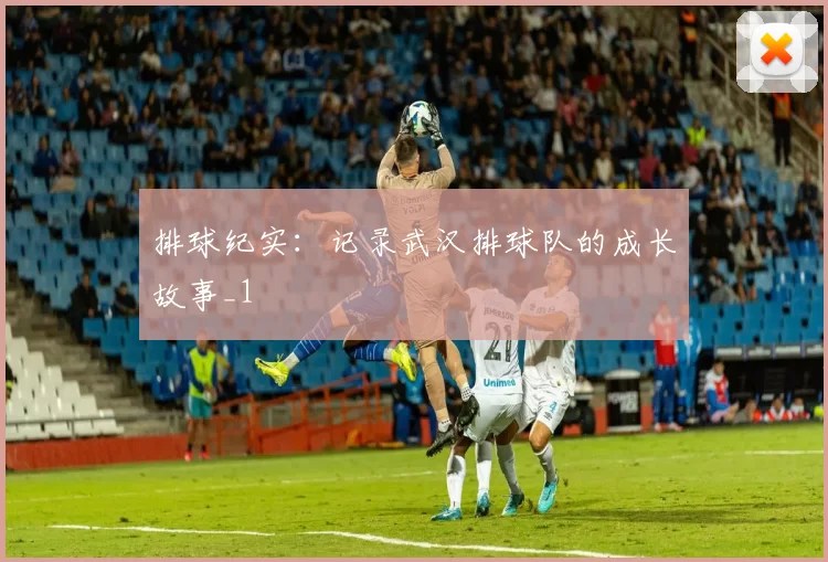 排球纪实：记录武汉排球队的成长故事_1