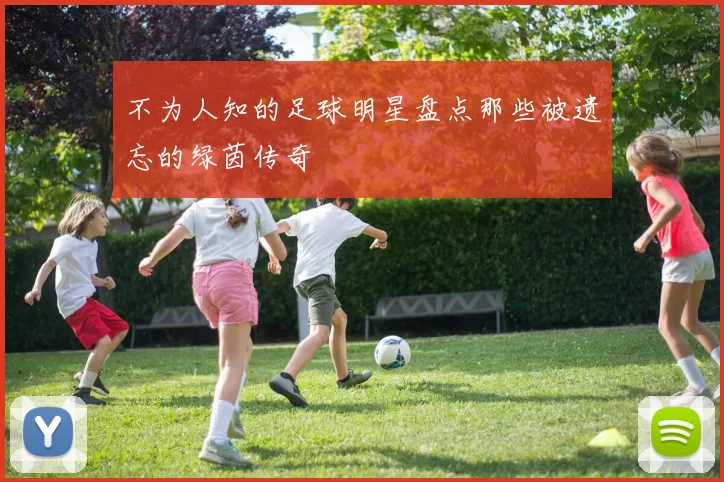 不为人知的足球明星盘点那些被遗忘的绿茵传奇