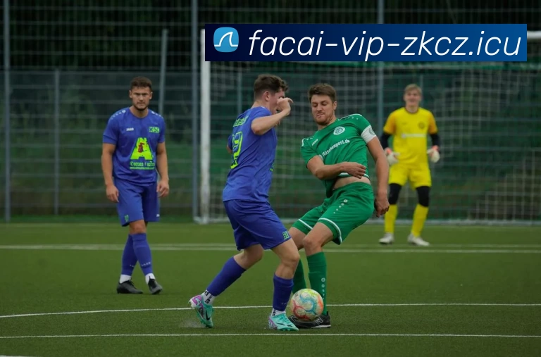 华体会体育品牌故事